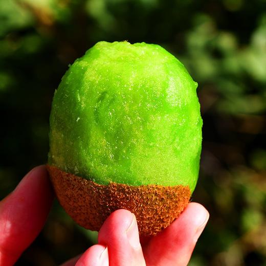 猕猴桃（500g/份） 商品图1