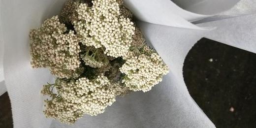 米花 白色 商品图3