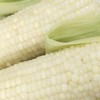 【密云农家糯玉米】6根/份，白糯玉米 商品缩略图3