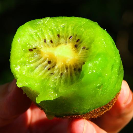 猕猴桃（500g/份） 商品图2