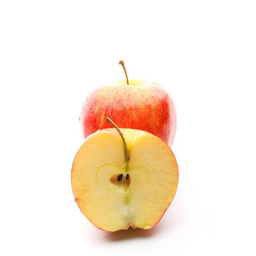 进口咖喱果约500g+50g 商品图1