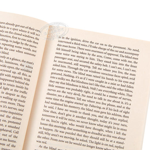 【中商原版】萨拉马戈：失明症漫记 英文原版 Blindness (Vintage Classics) 文学 José Saramago 商品图3