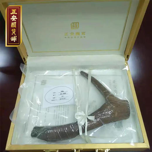 正安国 梅花鹿头茬二杠小枝 特级鹿茸 身体进补好物 高端礼品甄选 长辈赠礼 顺丰【不可用券】 商品图4
