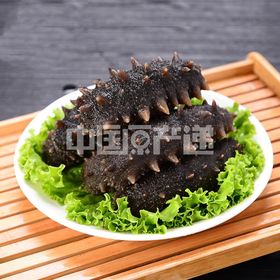 小钦岛即食野生海参(1斤装)