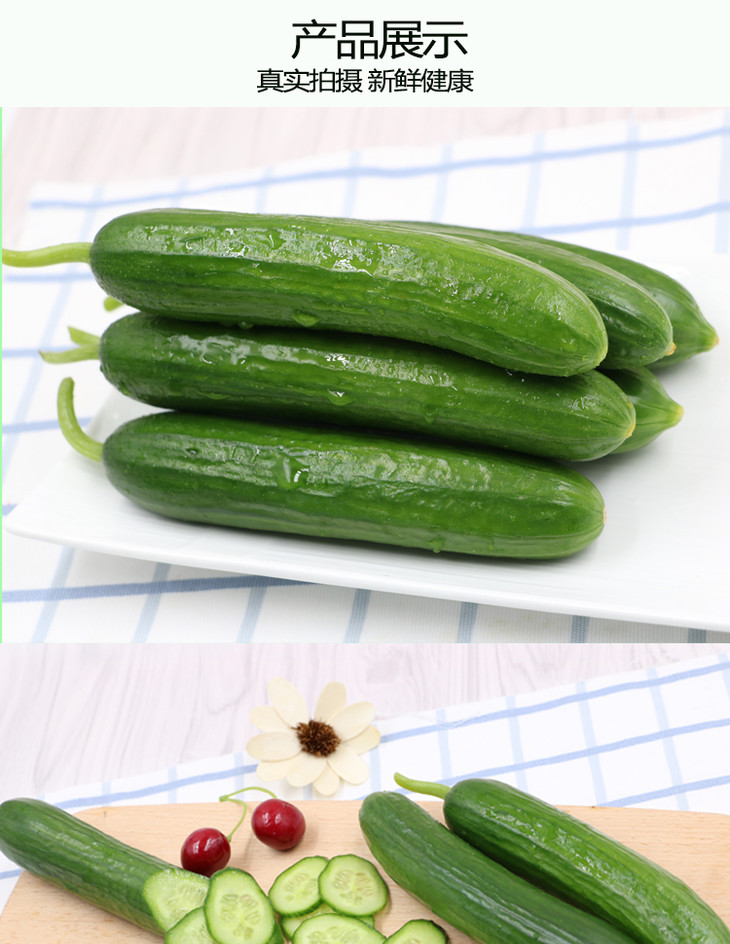 山东寿光水果黄瓜(1斤/份)