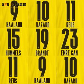 SFS 20-22德甲多特蒙德联赛主客场印号 多球员选项（非球衣链接）