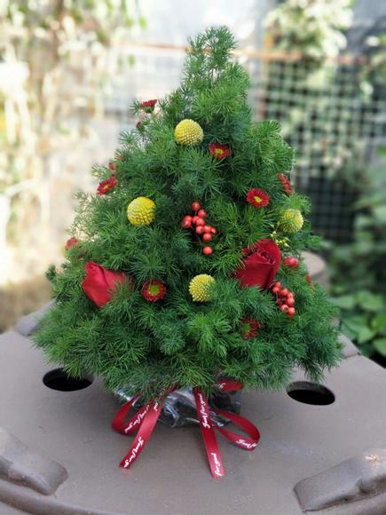 蓬莱松， 商品图1