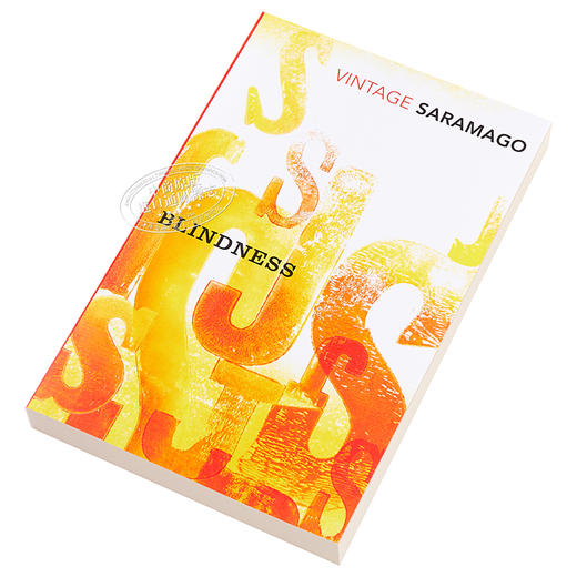【中商原版】萨拉马戈：失明症漫记 英文原版 Blindness (Vintage Classics) 文学 José Saramago 商品图2