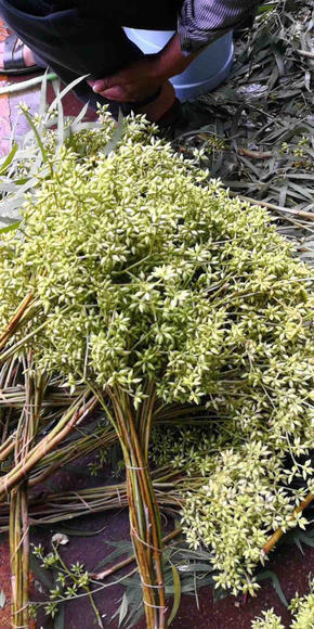 小米果 商品图1