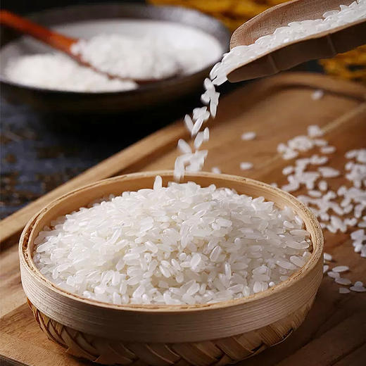 禾稻王朝经典五常米5kg