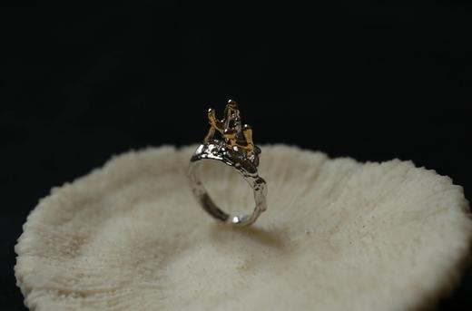 CHEZ BOQUE 印象系列原创手工925银戒指《黑暗森林》 商品图2