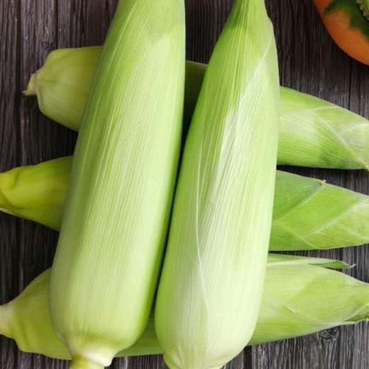 【密云农家糯玉米】6根/份，白糯玉米 商品图2