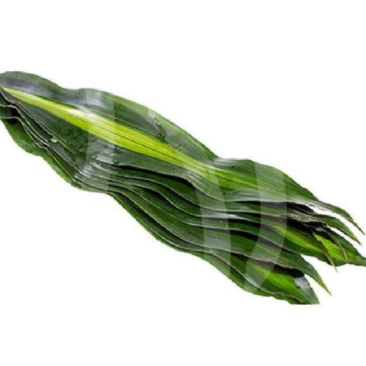 巴西叶 商品图2