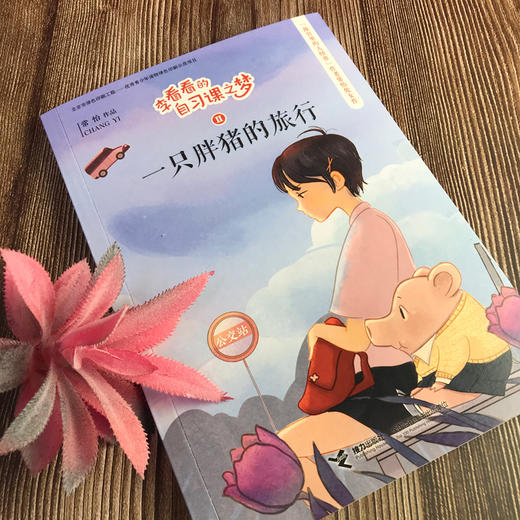 李看看的自习课之梦 一只胖猪的旅行 商品图1