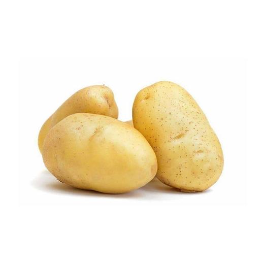 鲜土豆 约1.5kg/份 商品图0