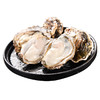 生蚝（件装） 鲜美肥厚 商品缩略图0