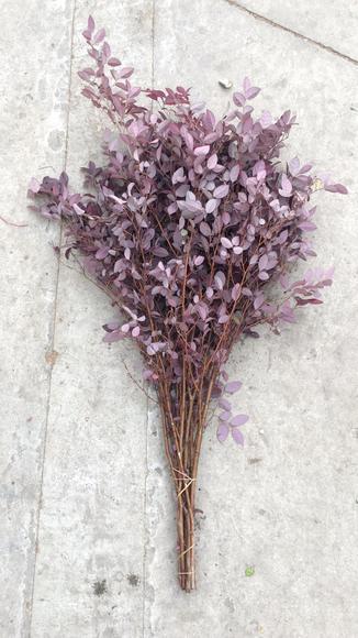 红积木 商品图1