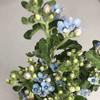 蓝星花 蓝色 圆瓣 商品缩略图3