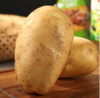 【时令蔬菜】土豆500g±20g 商品缩略图1