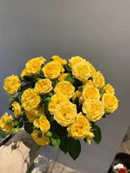 多头玫瑰黄色 商品图3