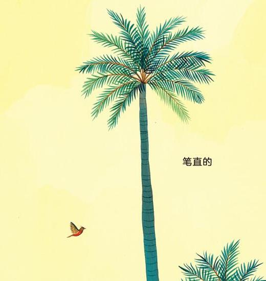 知更鸟 商品图0