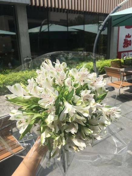 普通白水仙百合白色 商品图3