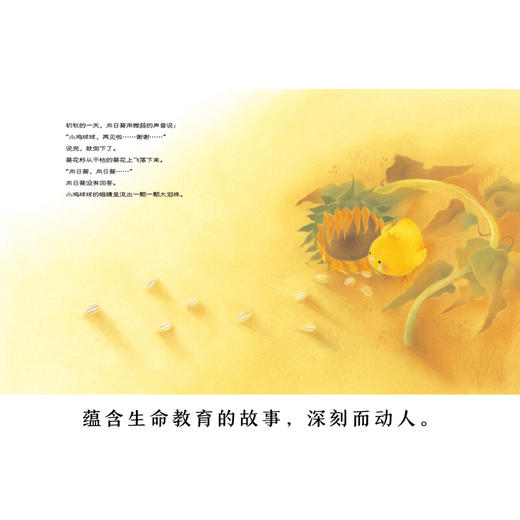 《小鸡球球的大成长（套装全5册）幼儿园超人气绘本系列》([日]入山·智) 商品图4