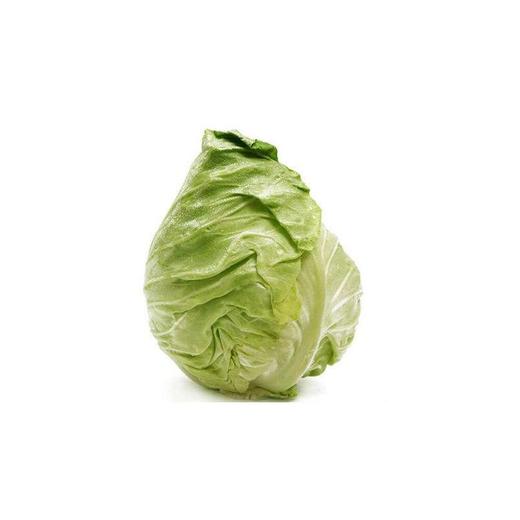 牛心白 约1kg/份 商品图1