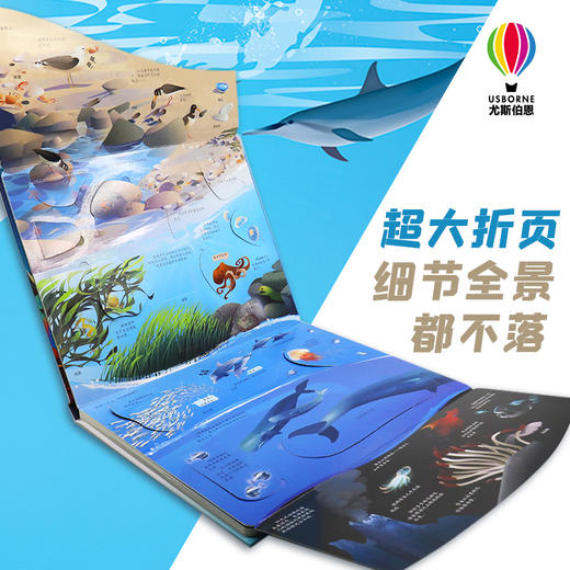 揭秘蔚蓝大海 商品图1