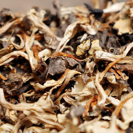 桂花菌干厨房团队实地溯源自然野生传统自然晒干口感酥软滑脆味道清香