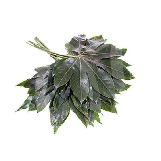 八角叶 商品图0