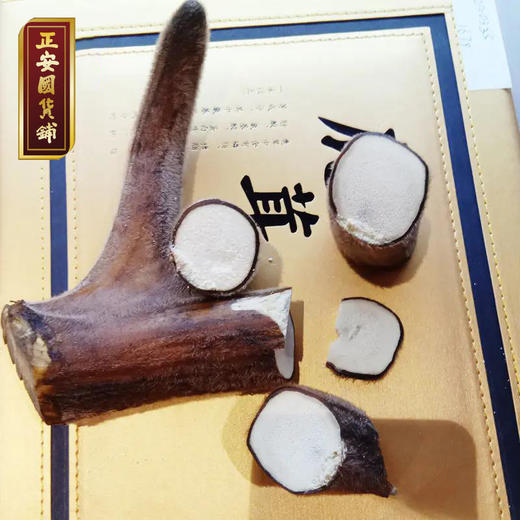 正安国 梅花鹿头茬二杠小枝 特级鹿茸 身体进补好物 高端礼品甄选 长辈赠礼 顺丰【不可用券】 商品图1