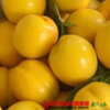 山东沂蒙山黄金油桃 （18个左右）4.5斤 商品缩略图1