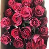 玫瑰 玫昂红A 商品缩略图1