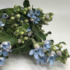 蓝星花 蓝色 圆瓣 商品缩略图2