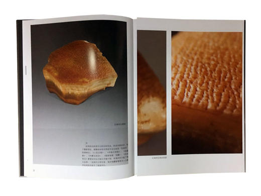 官方正版 食为天奇石选 收藏鉴赏古玩图谱 商品图1