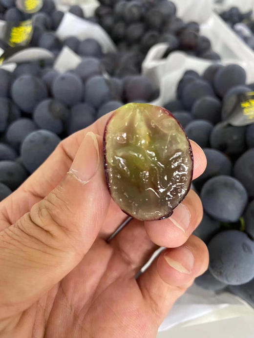 周四取货：【蓝莓夏黑葡萄】一箱毛重3.5斤左右，纯甜，汁水爆多！ 商品图1