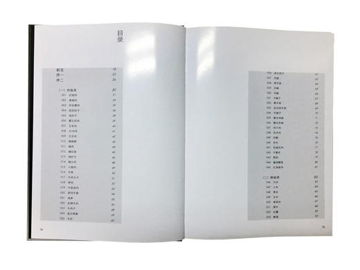 官方正版 食为天奇石选 收藏鉴赏古玩图谱 商品图4