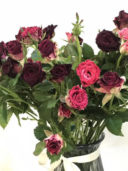 多头玫瑰 紫罗兰 商品图4