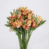 水仙百合10支 橙色 商品缩略图3