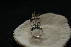 CHEZ BOQUE 印象系列原创手工925银戒指《黑暗森林》