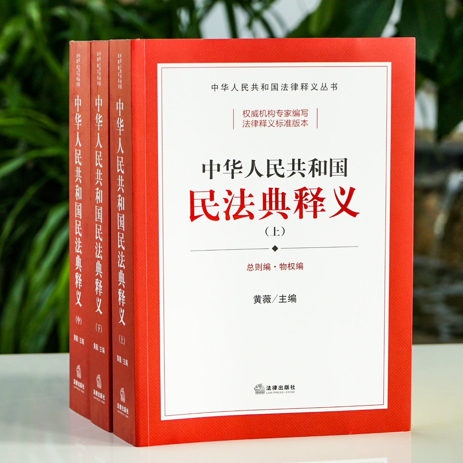 权威机构专家编写 法律释义标准版本丨黄薇主编•「中华人民共和国民法典释义」（上中下）逐条撰写释义 精准反映立法宗旨