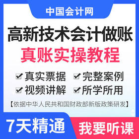 高新技术行业真账实操