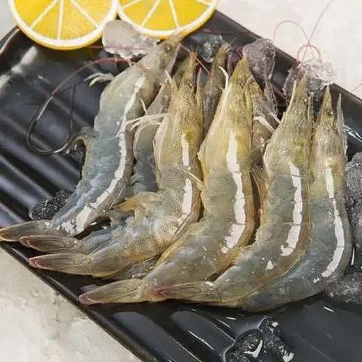 【广东省包邮】公港白对虾28-32头/斤  （48小时之内发货） 商品图1