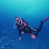 【自由行】东山岛潜水，身临美丽的海洋世界 商品缩略图0