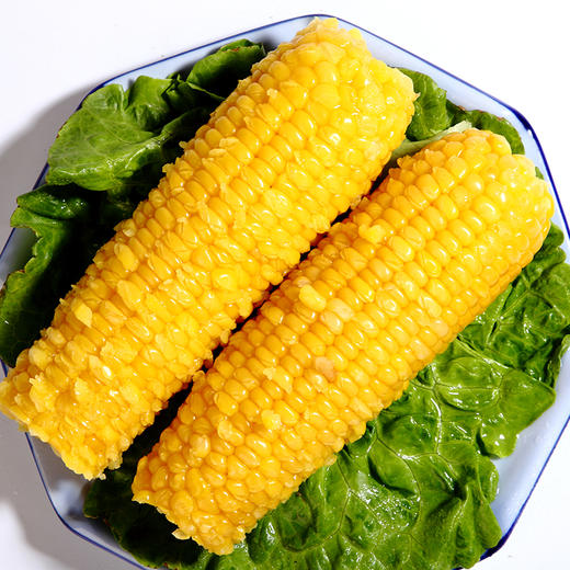【山西静乐黄糯玉米10根】甜糯鲜嫩，真空锁鲜包装，高压灭菌，粗粮早餐的不二选择！ 商品图1