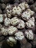 【预售】云南去青皮新鲜核桃，颗粒饱满，甘甜营养高，超妈产地甄选，请冷藏保存 商品缩略图5