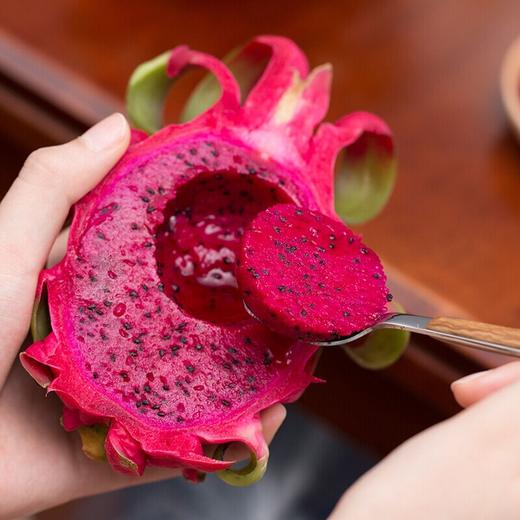 红心火龙果约500g/个 商品图2