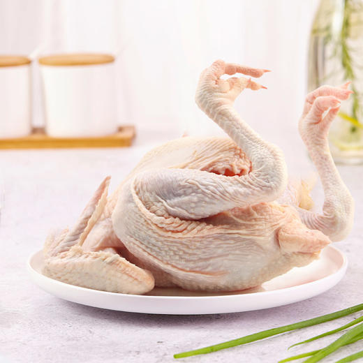 清远鸡小公鸡 600g 商品图3