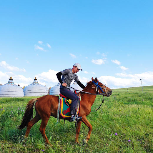端午丨过3日草原生活-沈阳大巴往返丨乌拉盖草原-住蒙古包-骑马-九曲